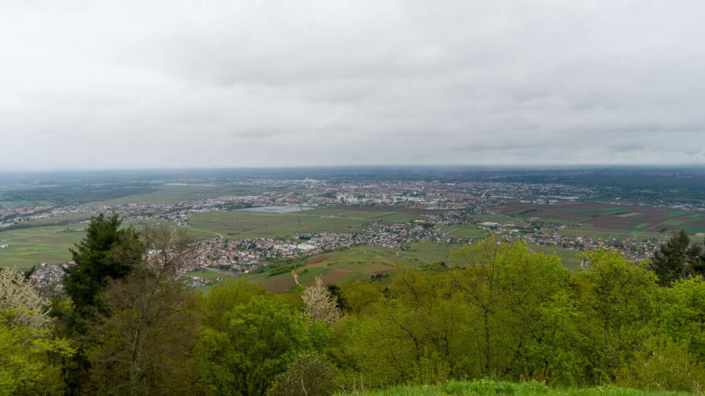 Blick von der Hohlandsbourg Frankreich Natur