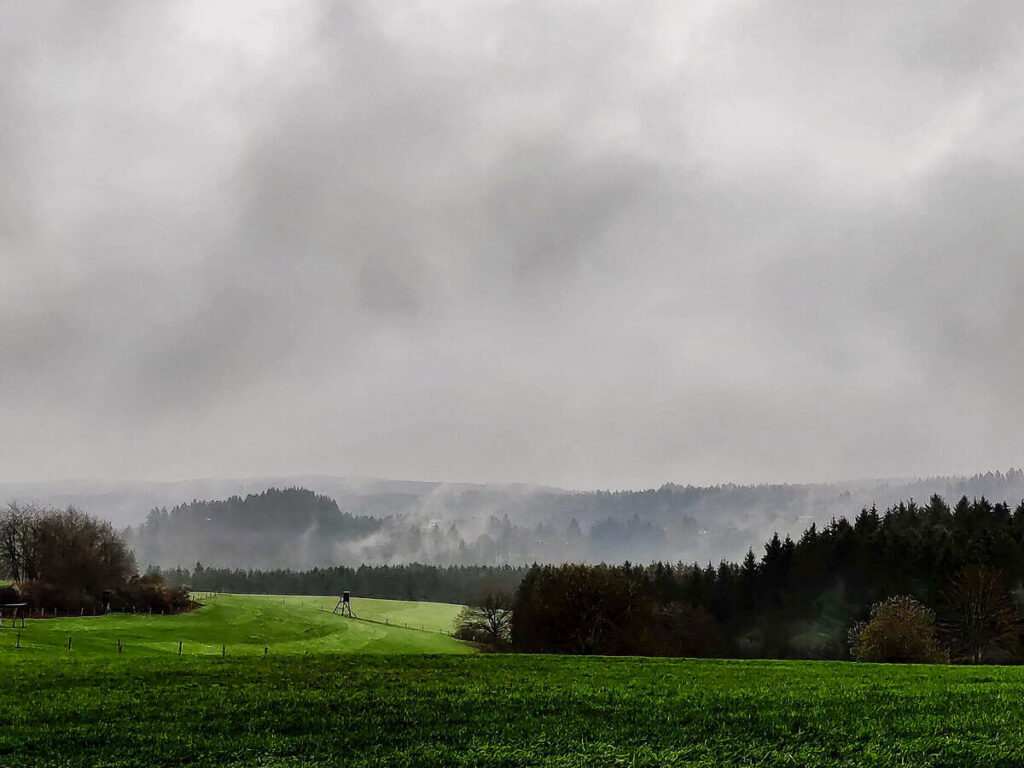 Eifel im Nebel