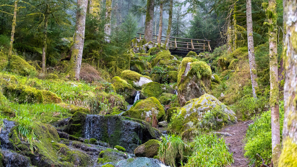 Frankreich Natur Erlebnis Gérardmer