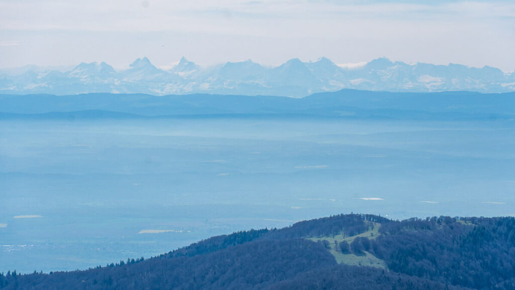Frankreich Erleben Blick vom Grande Ballon zu den Schweizer Alpen