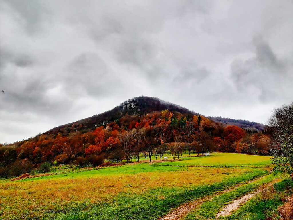 Ansicht auf die Houbirg in bunten Herbstfarben