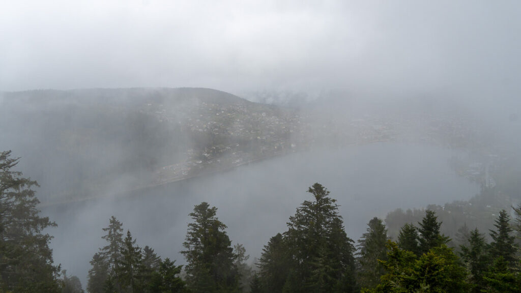 Lac de Gérardmer im Nebel Natur Erlebnis