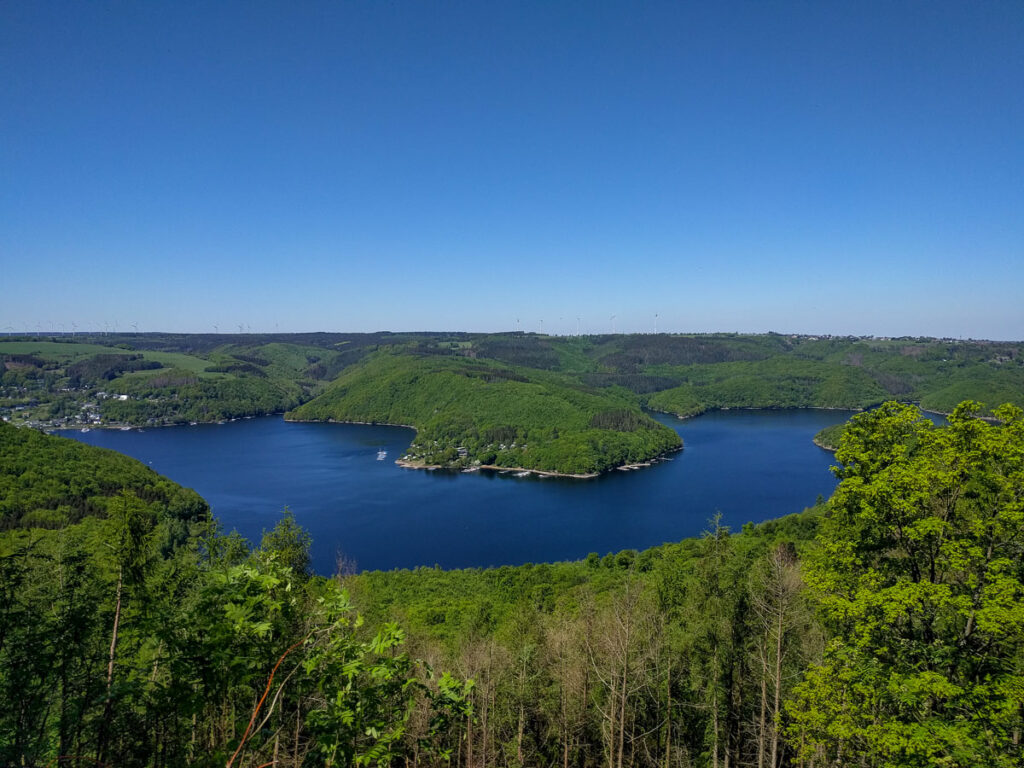 Blick auf den Rursee im Nationalpark Eifel