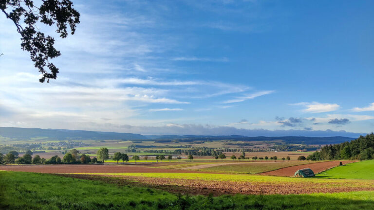 Weitblick über die Nordeifel
