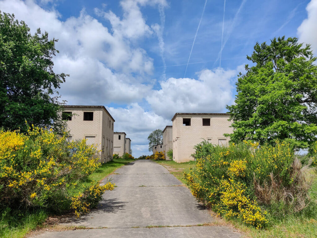 Ginster und Bauten für den Häuserkampf