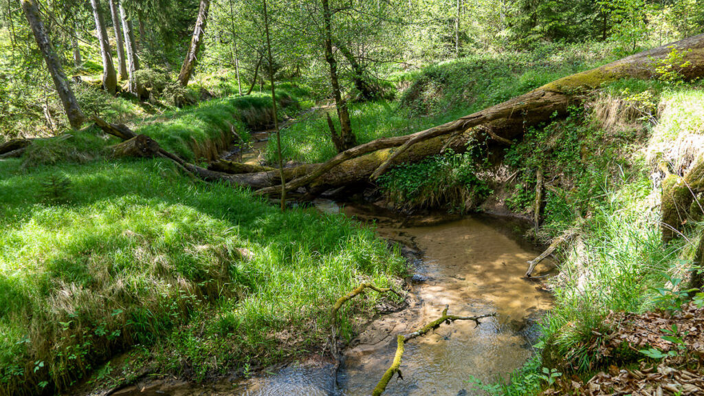 Nürnberger Land am Wasser