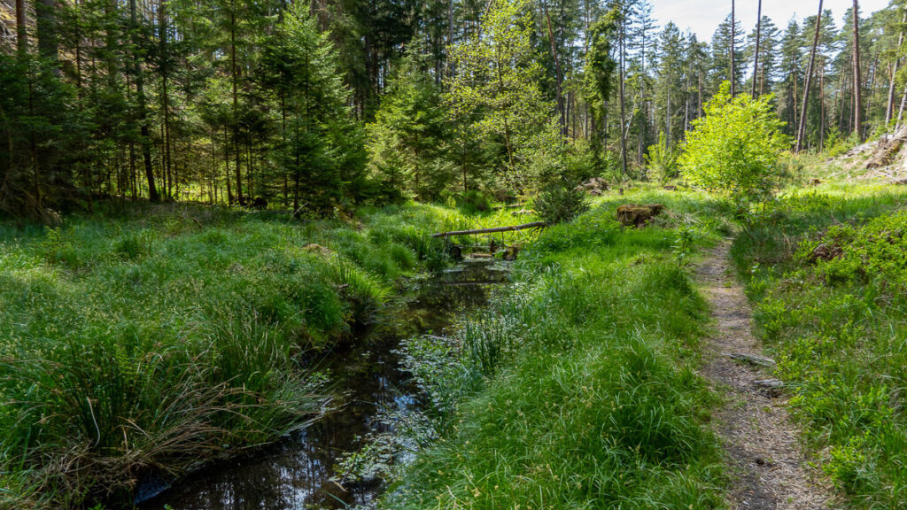 Nürnberger Land am Wasser