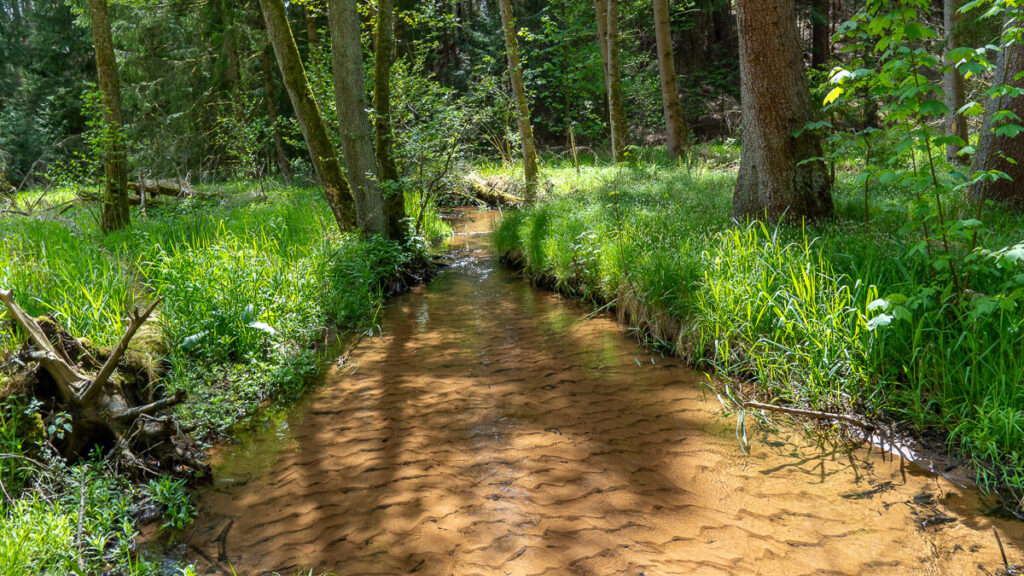 Nürnberger Land am Wasser