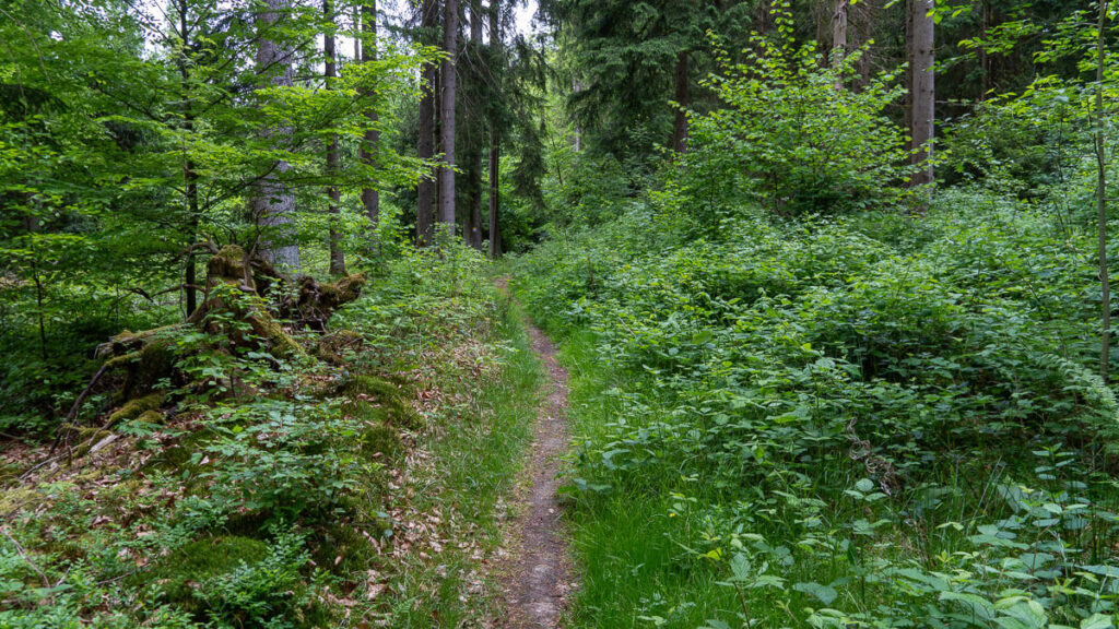Wandern in Franken auf schmalen Pfaden