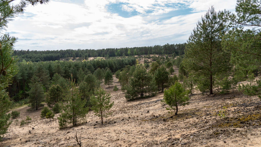 Wandern in Franken fränkische Dünenlandschaft
