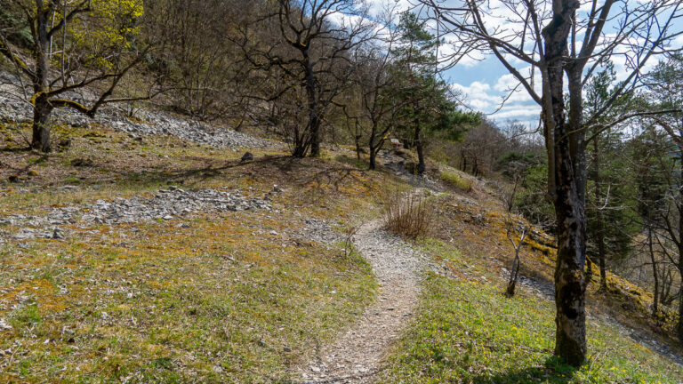 Nürnberger Land Hersbrucker Schweiz