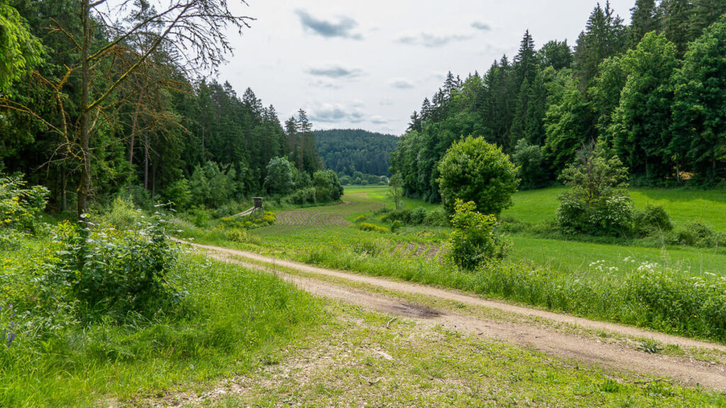 Blick ins Tal