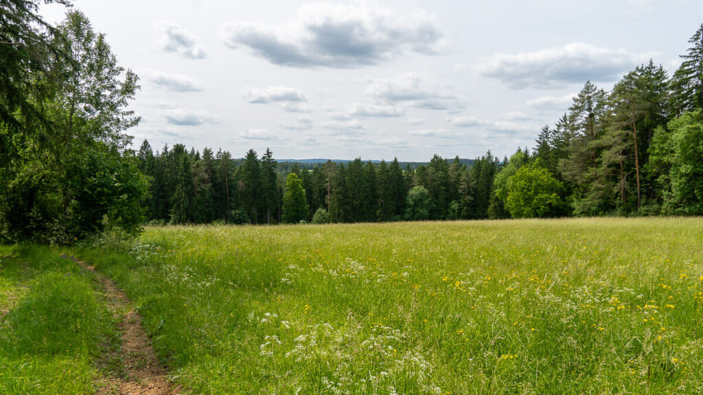 Hirschwald
