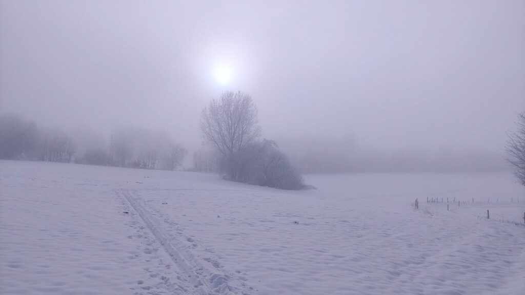 Wandern in der Eifel Schnee Sonne Nebel