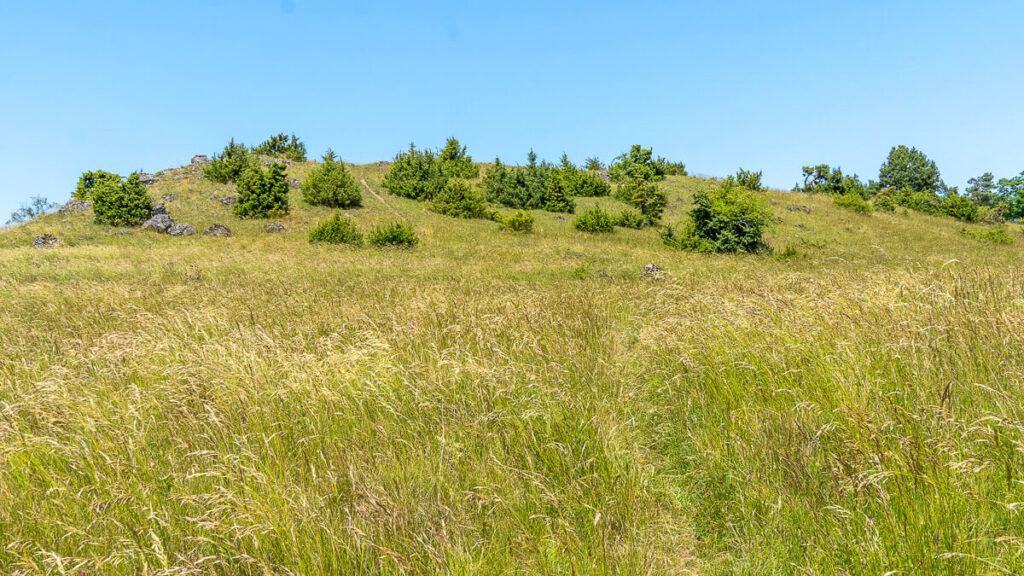 Meine Oberpfalz Schanzberg