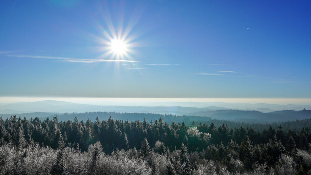 Weiter Blick über den Wald