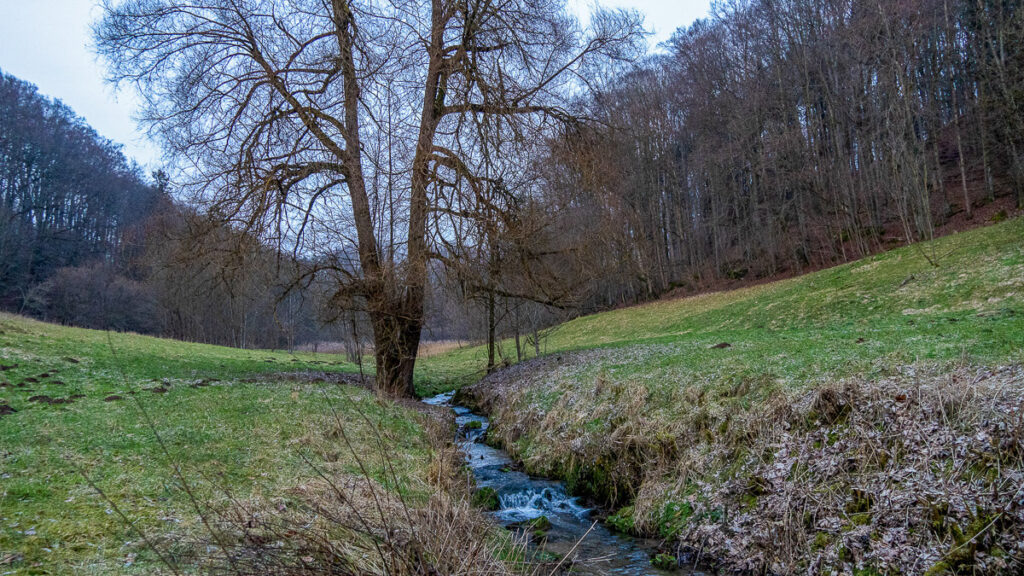 Meine Oberpfalz Traunfelder Bach