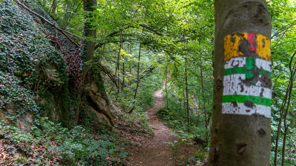 Wegzeichen u. a. vom Frankenalb Panoramaweg
