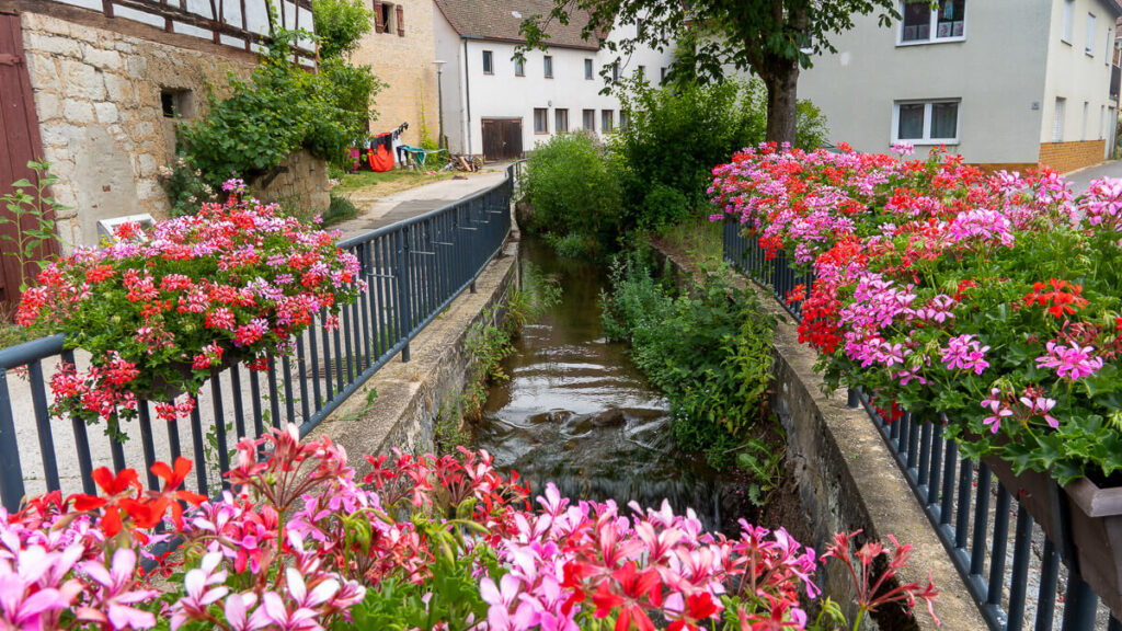 Blüten und Wasser