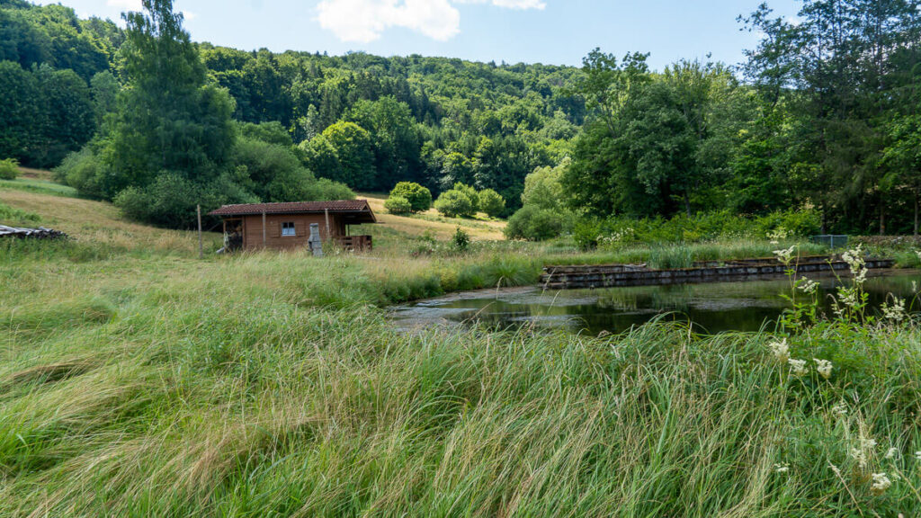 Teichlandschaft