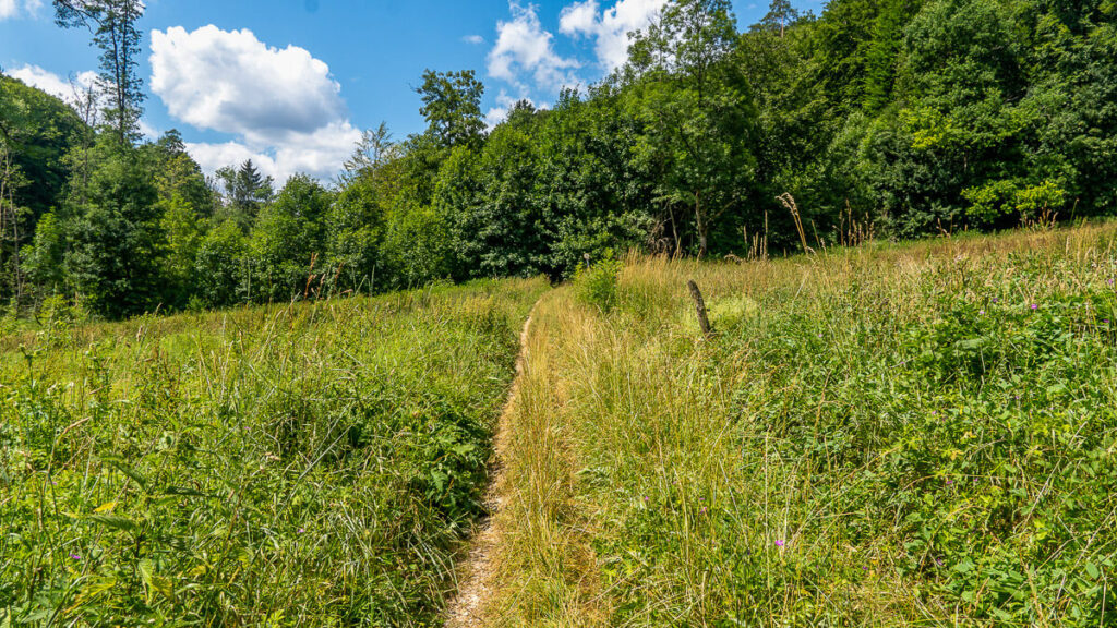 Wiesenwege Frankenalb Panoramaweg