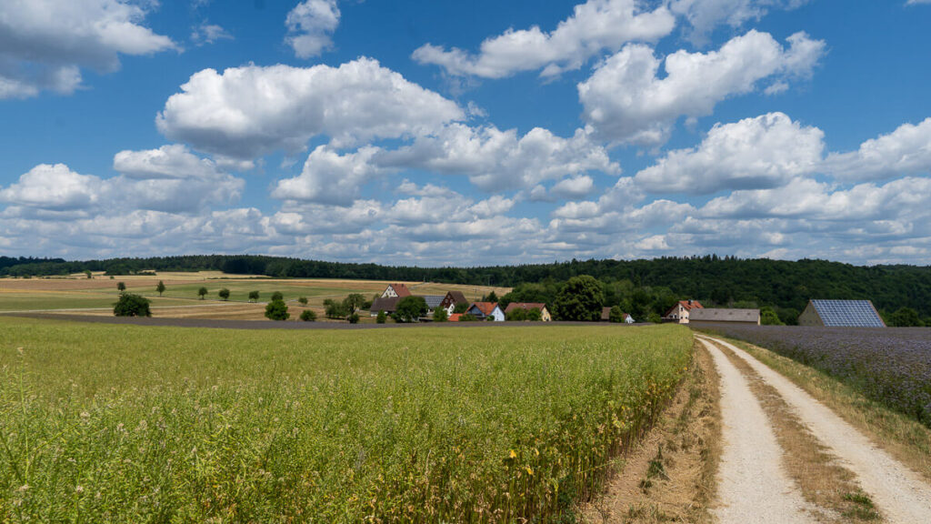 Ausblick am Frankenalb Panoramaweg