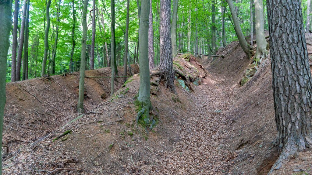 Buchenberg am Frankenalb Panoramaweg