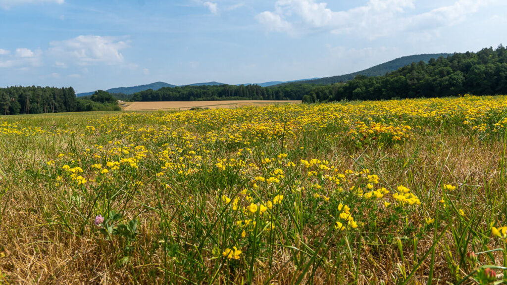 Blick über die Ebene