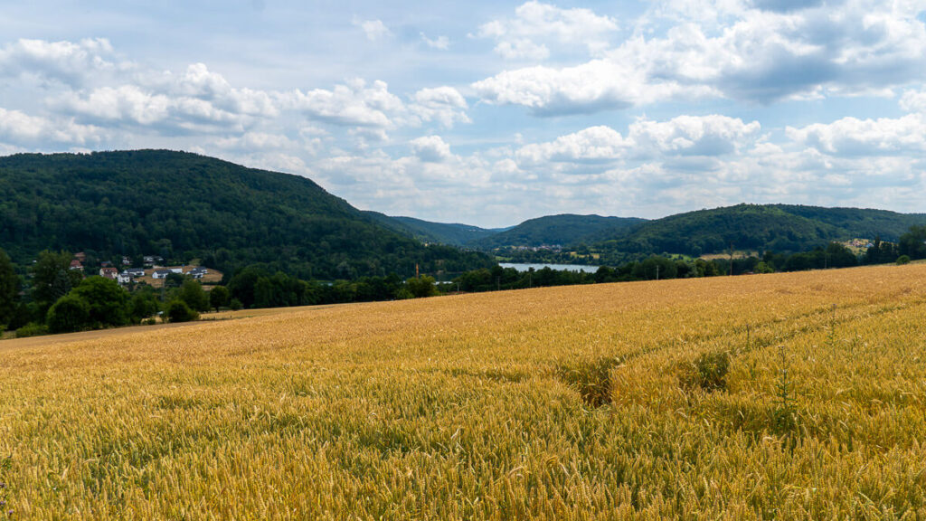 Blick auf den See