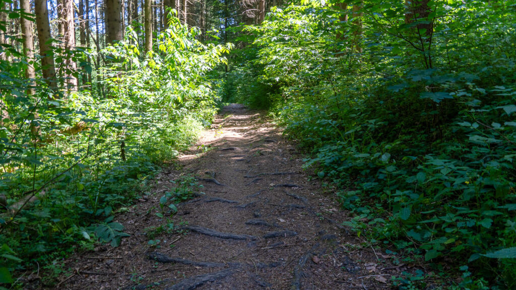 Auf dem Frankenalb Panoramaweg