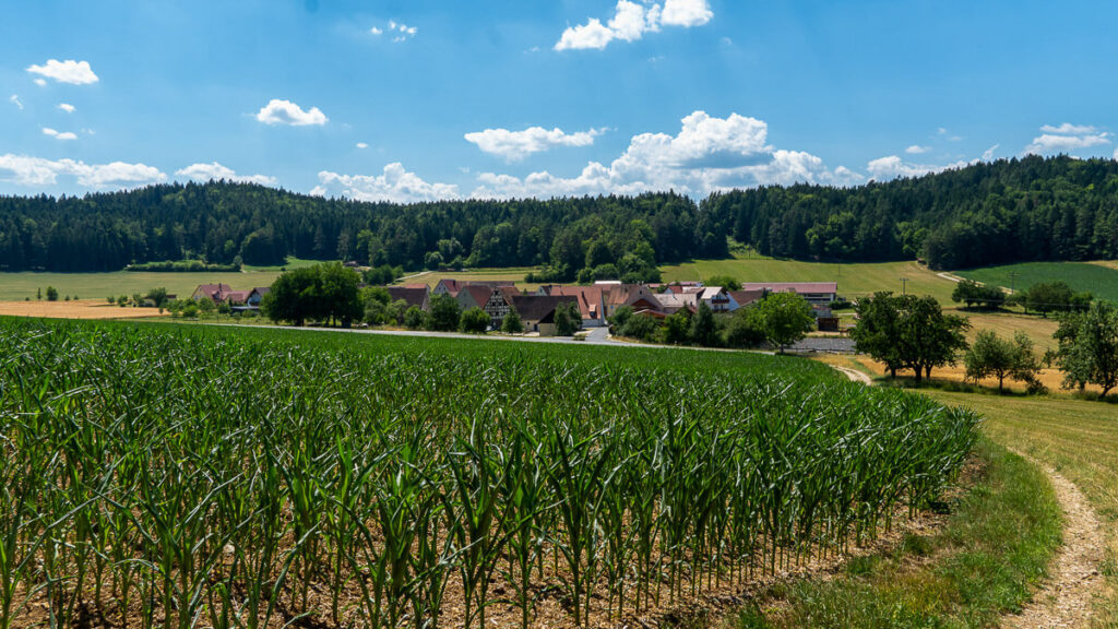 Blick auf Waizenfeld