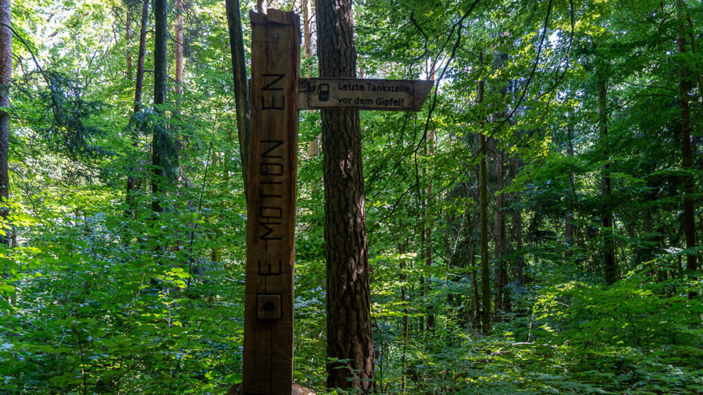 Kunst aus Holz
