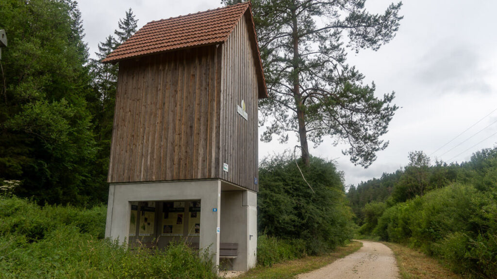 Fledermausturm Naturpark Hirschwald