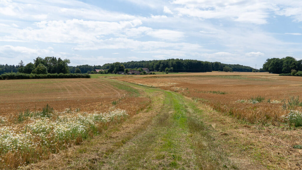 Naturpark Hirschwald Offenland