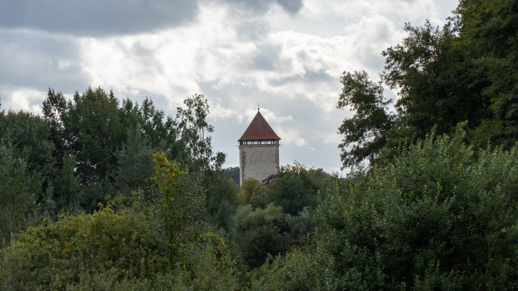 Hinter dem Wald erhebt sich Burg Dagestein