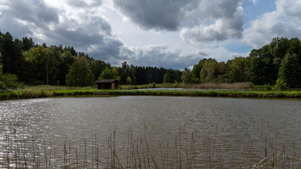 Weiherlandschaft am Vilstalwanderweg