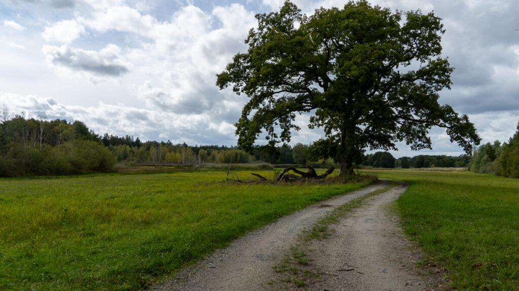Vilstalwanderweg im Leinschlag