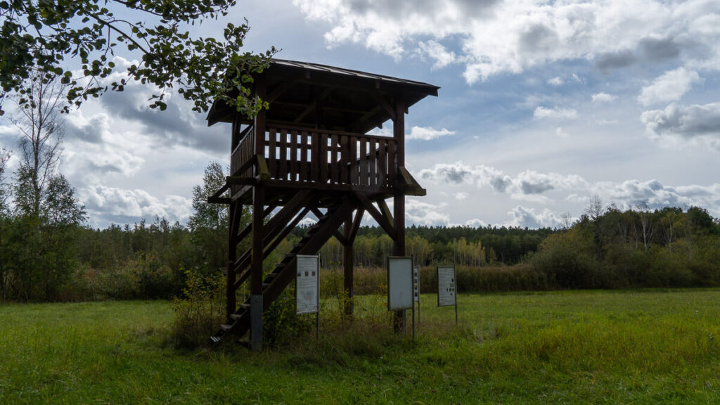 Aussichtsturm im Schutzgebiet