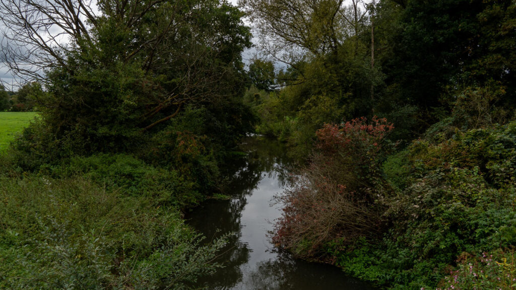 Vils umrahmt von Bäumen und Sträuchern