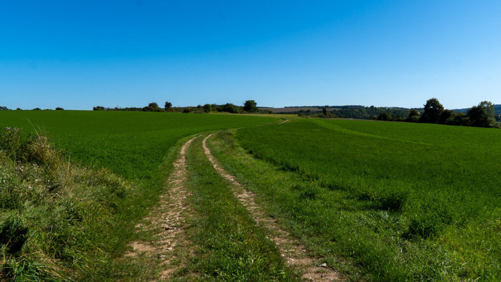 Einfacher Weg über Wiesenlandschaft auf der Hochfläche
