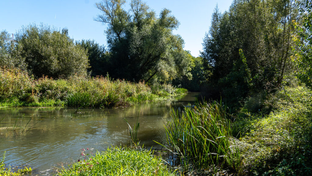 Die Vils in Ambergs Parkanlage