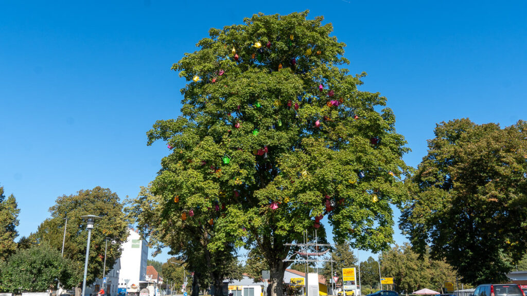 Gießkannen schmücken diesen Baum