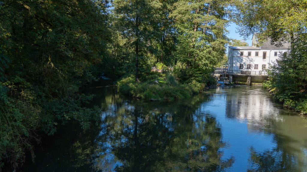 Vils-Gabelung mit Wasserspiegelungen