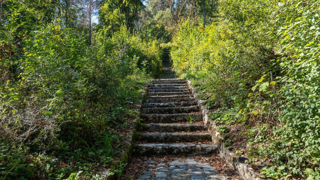 Alte Steintreppen umgeben von grün.