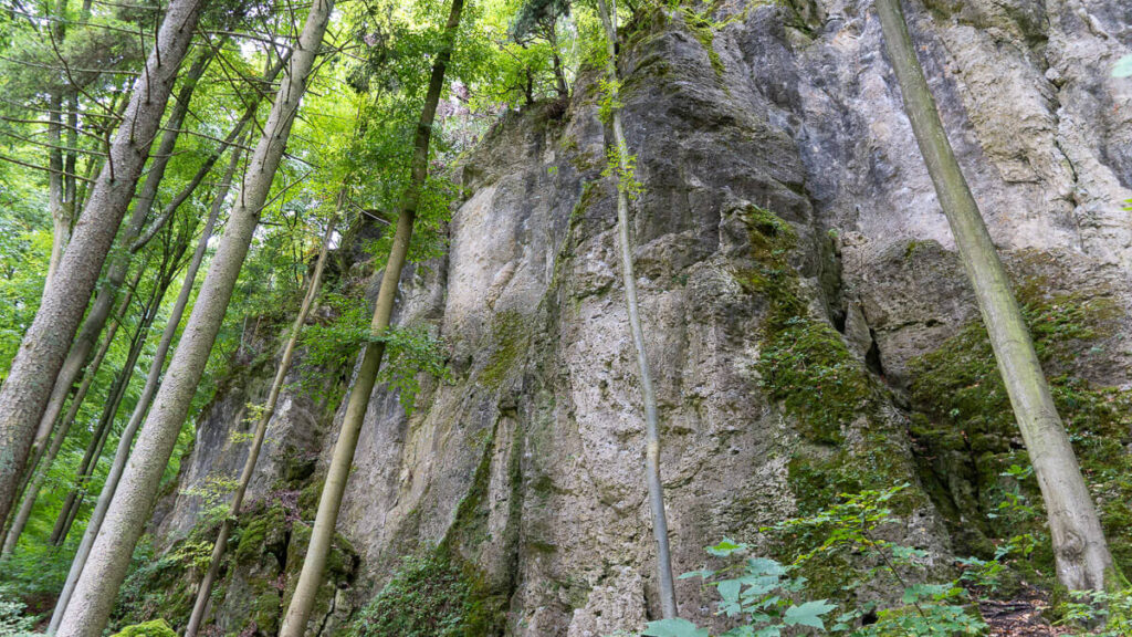 Blick auf Felswand im Wald