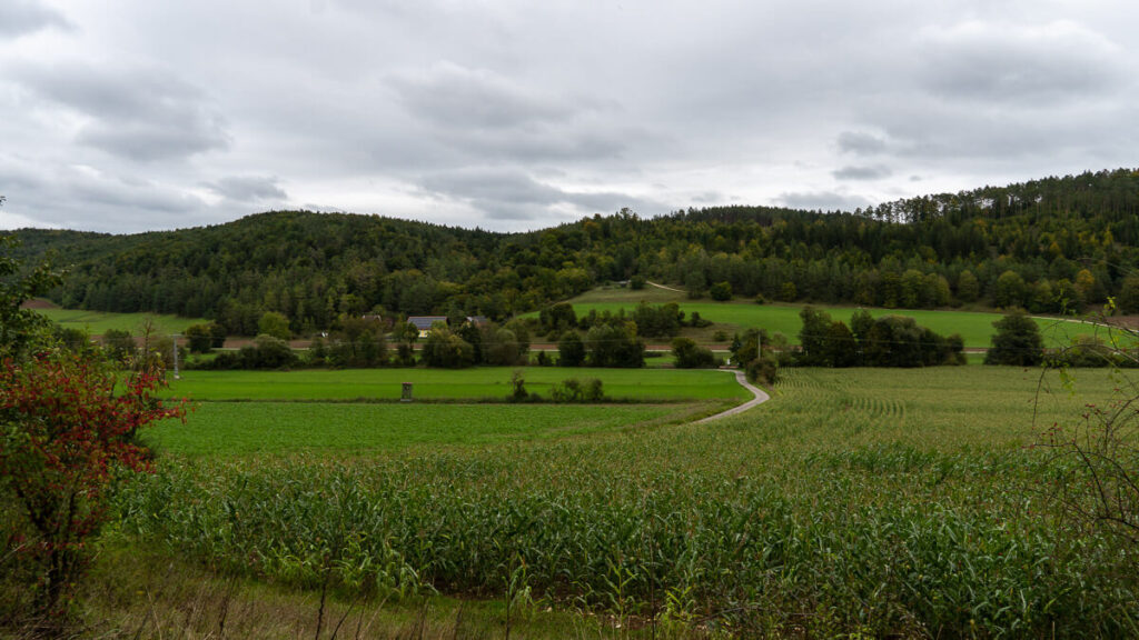 Wiesen und Maisfelder und bewaldete Talränder
