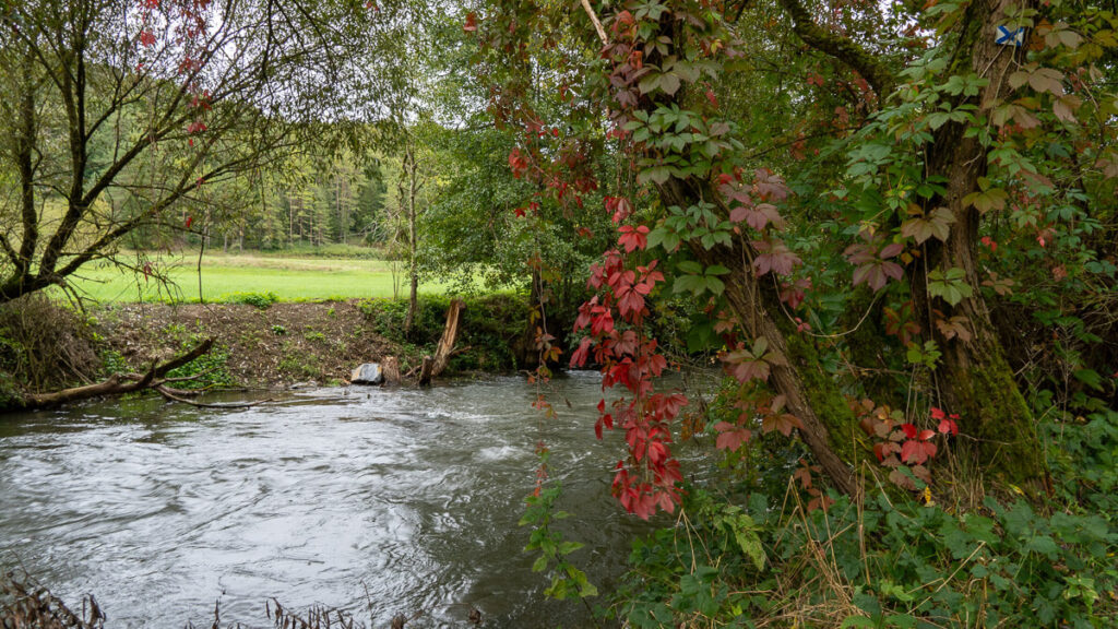 Buntgefärbtes Laub und die Vils
