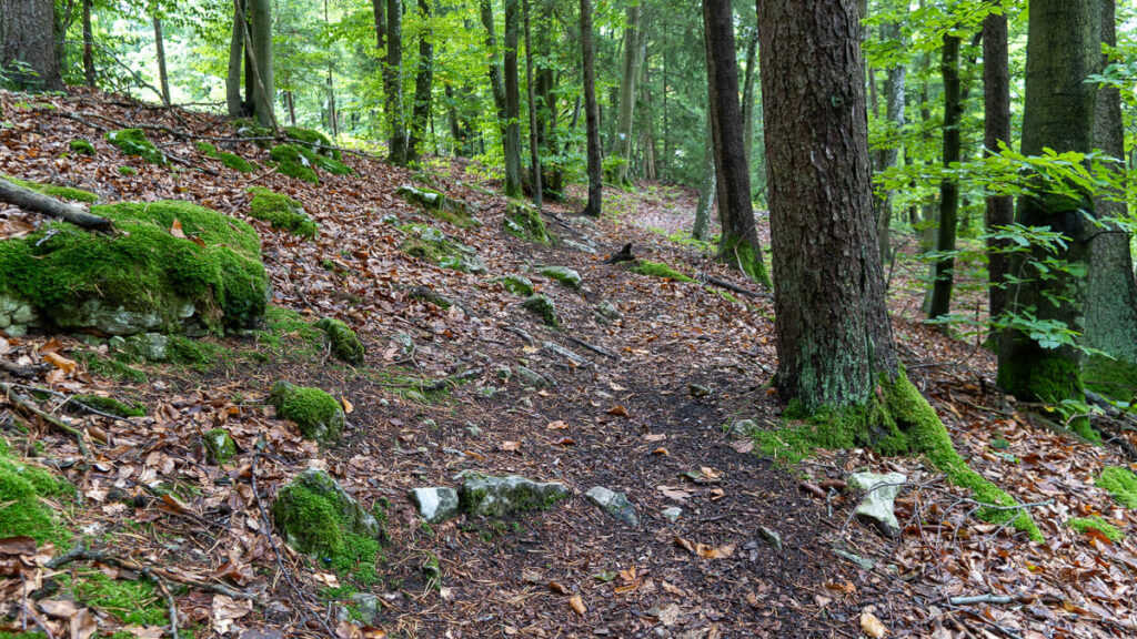 Waldpfad über Gestein am Vilstalwanderweg