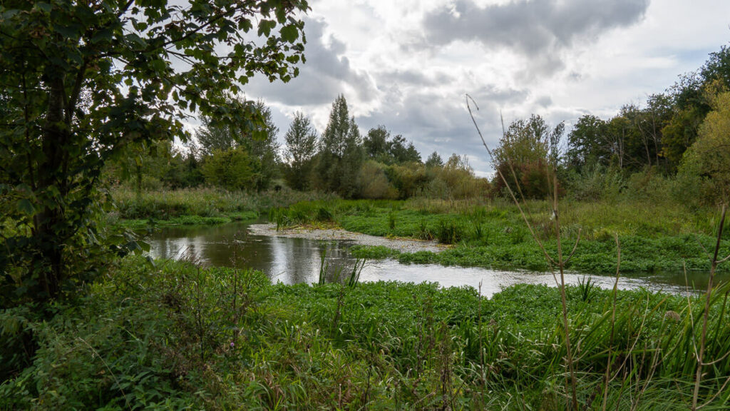 Vilstalauenlandschaft