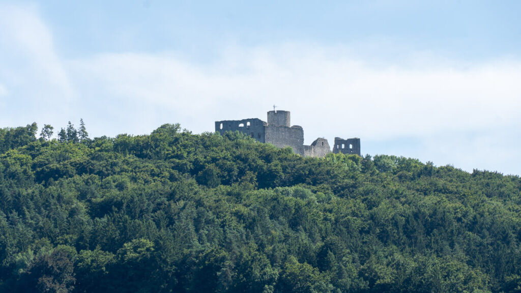 Wolfsteinberg im Blick, Ende der Zeugenbergrunde